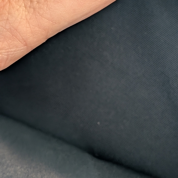 Coach Jes Camera Striped Pebbles Leather With Pebbled Leather Zebra Guitar Strap - Picture 8 of 12